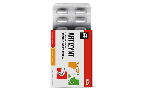 ArtiZynt